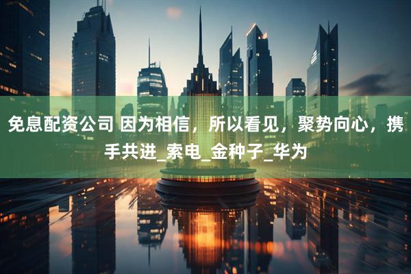 免息配资公司 因为相信，所以看见，聚势向心，携手共进_索电_金种子_华为
