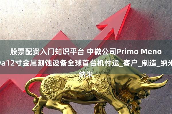 股票配资入门知识平台 中微公司Primo Menova12寸金属刻蚀设备全球首台机付运_客户_制造_纳米