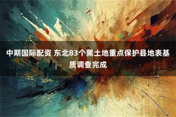 中期国际配资 东北83个黑土地重点保护县地表基质调查完成