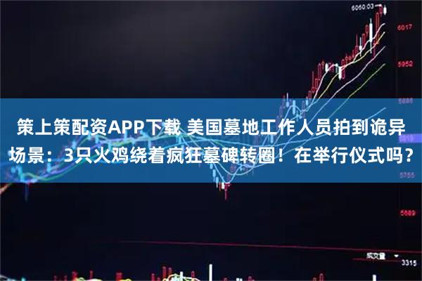 策上策配资APP下载 美国墓地工作人员拍到诡异场景：3只火鸡绕着疯狂墓碑转圈！在举行仪式吗？